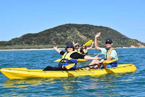 Kayak With Dolphins And 4WD Great Beach Drive Day Trip From Noosa - Surfers Gold Coast 6