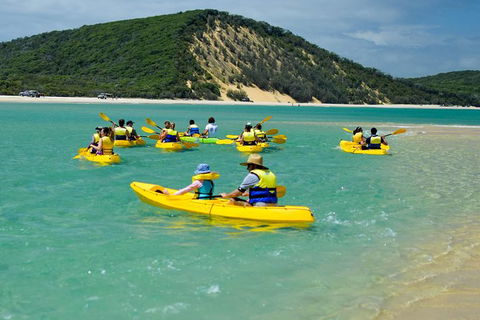 Kayak With Dolphins And 4WD Great Beach Drive Day Trip From Noosa - Surfers Gold Coast 8