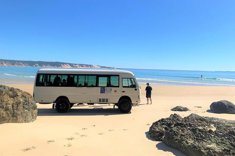 Kayak With Dolphins And 4WD Great Beach Drive Day Trip From Noosa - Surfers Gold Coast 17