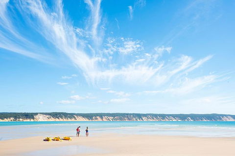 Kayak With Dolphins And 4WD Great Beach Drive Day Trip From Noosa - Surfers Gold Coast 16