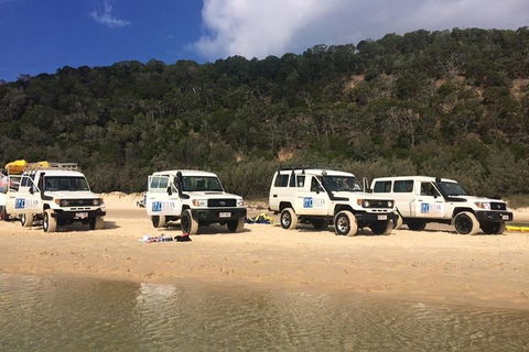 Kayak With Dolphins And 4WD Great Beach Drive Day Trip From Noosa - Surfers Gold Coast 9