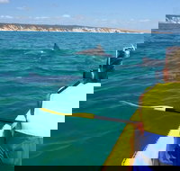 Kayak with Dolphins and 4WD Great Beach Drive Day Trip from Noosa - Surfers Gold Coast