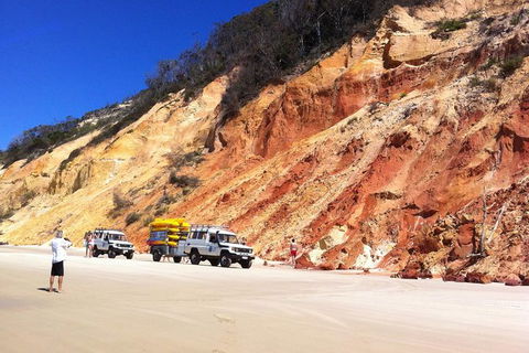 Kayak With Dolphins And 4WD Great Beach Drive Day Trip From Noosa - Surfers Gold Coast 12