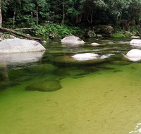 Afternoon Half-Day Daintree Rainforest and River Tour - Surfers Gold Coast