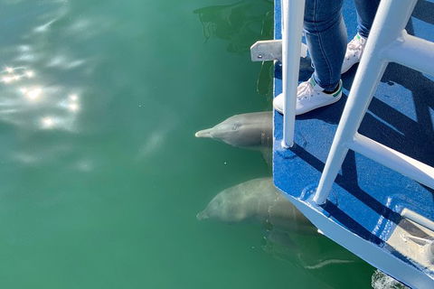 Gold Coast 1.5-Hour Sightseeing River Cruise From Surfers Paradise - Surfers Gold Coast 1