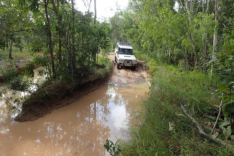 Cairns 4WD Waterfall And Rainforest Tour Including Kuranda Scenic Railway - Surfers Gold Coast 3