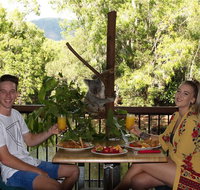 Hartley's Crocodile Adventures Entry Ticket and Breakfast with the Koalas - Surfers Gold Coast