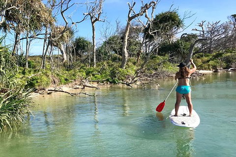 Early Morning Weekend Paddleboard Special - Surfers Gold Coast 5