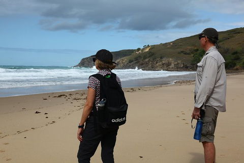 Tropical Beach Adventure - Private 4X4 Day Tour With Pickup - Surfers Gold Coast 0