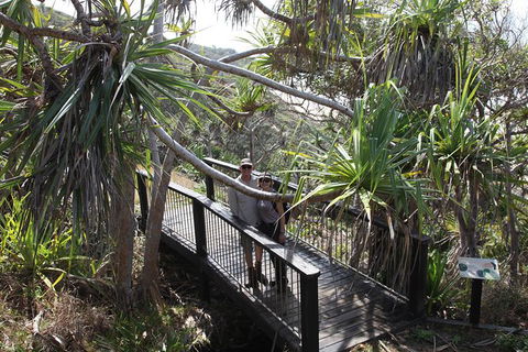 Tropical Beach Adventure - Private 4X4 Day Tour With Pickup - Surfers Gold Coast 1