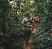 Cultural Tour - Full Day - Surfers Gold Coast