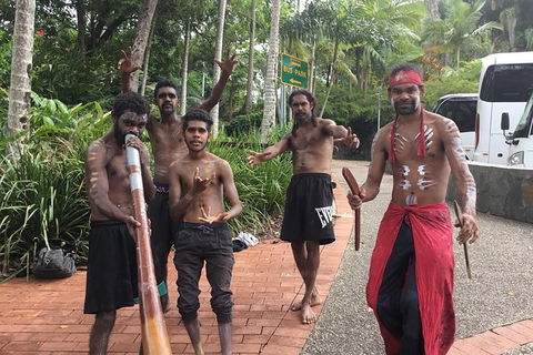 Cairns City Tour - Surfers Gold Coast 2