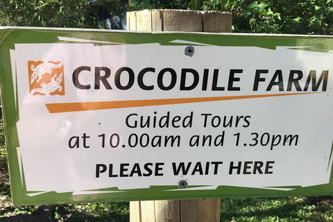 Cairns City Tour - Surfers Gold Coast 3