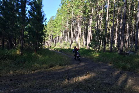 One Day Guided Dirt Bike Tour In The Magnificent Glasshouse Mountains Forests. - Surfers Gold Coast 7
