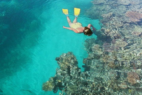 Great Barrier Reef Luxury Expedition Cruise Cabin Booking 7 Days 6 Night - Surfers Gold Coast 8