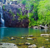 Reef Wildlife  Rainforest - Reef  Beyond Guided Holidays - Surfers Gold Coast