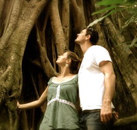 Daintree and Cape Tribulation Full Day Guided Tour - Surfers Gold Coast