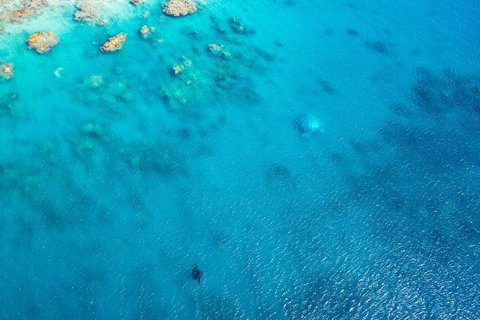 Premium Private Charter - Surfers Gold Coast 5