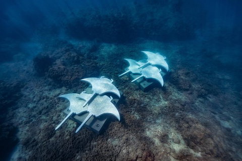 Premium Private Charter - Surfers Gold Coast 8