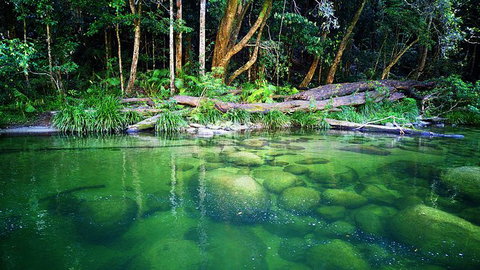 Cairns Adventure Package- 4 Tours In 3 Days! - Surfers Gold Coast 6
