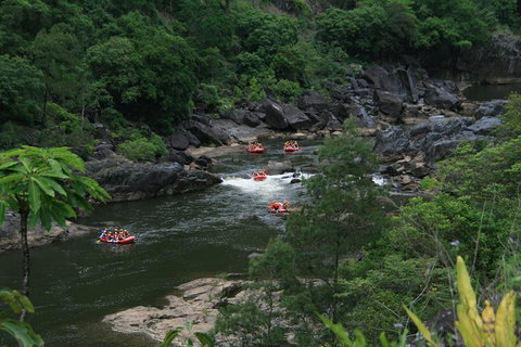Cairns Adventure Package- 4 Tours In 3 Days! - Surfers Gold Coast 3