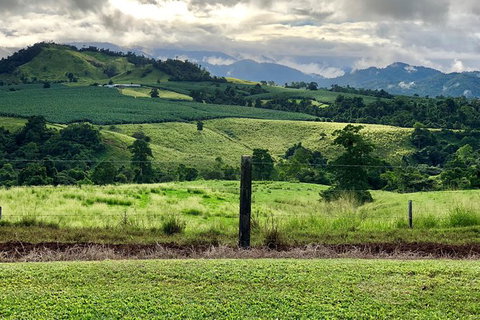 Tableland Tasting Tour - Surfers Gold Coast 0