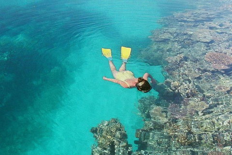 Great Barrier Reef Private Expedition Cruise (min 4 Day Max 8 Guests) - Surfers Gold Coast 6