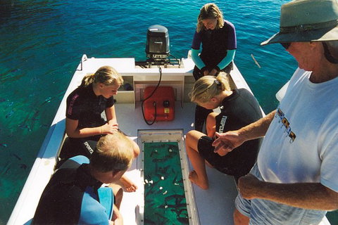 Great Barrier Reef Private Expedition Cruise (min 4 Day Max 8 Guests) - Surfers Gold Coast 1