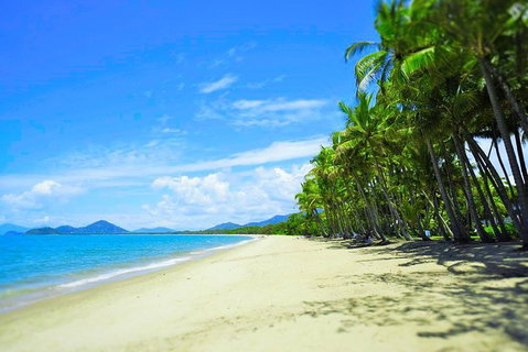 Airport Transfer - Palm Cove, Kewarra Beach & Trinity Beach To Cairns Airport - Surfers Gold Coast 2