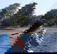 Noosa Hinterland Scenic Canoe  FAT Bike Tour - Surfers Gold Coast