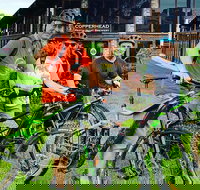 eMtn Bike  Brewery Day Tour - Surfers Gold Coast