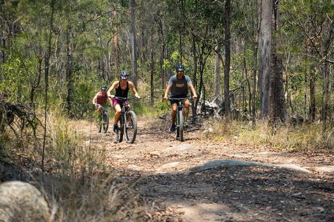 EMtn Bike + Brewery Day Tour - Surfers Gold Coast 21