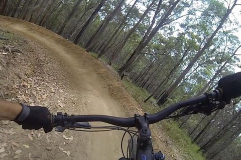 EMtn Bike + Brewery Day Tour - Surfers Gold Coast 2