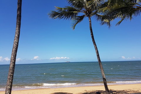 Private Transfers - Cairns Airport To Palm Cove - Surfers Gold Coast 8