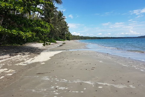 Private Transfers - Cairns Airport To Palm Cove - Surfers Gold Coast 1