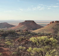 Carisbrooke Station and Dinosaur Stampede Full Day Tour - Surfers Gold Coast