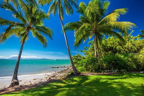 Cairns & Port Douglas All-Inclusive 7 Days Touring Package - Surfers Gold Coast 2