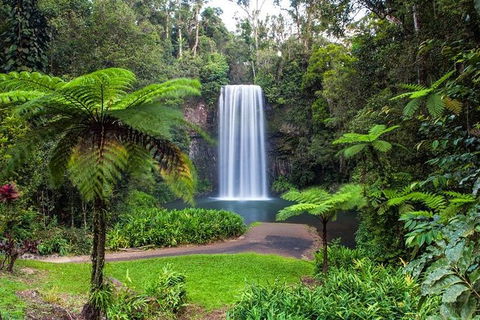 Cairns & Port Douglas All-Inclusive 7 Days Touring Package - Surfers Gold Coast 5