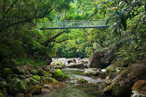 SHUTTLE - Mossman Gorge & Cooya Beach From Port Douglas (Return Transfer) - Surfers Gold Coast 4