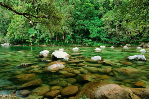 SHUTTLE - Mossman Gorge & Cooya Beach From Port Douglas (Return Transfer) - Surfers Gold Coast 3