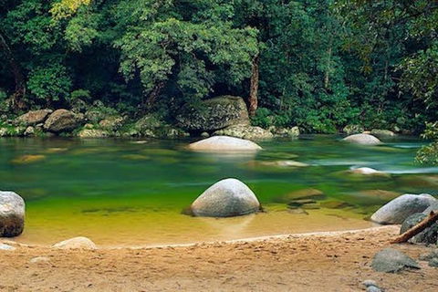 SHUTTLE - Mossman Gorge & Cooya Beach From Port Douglas (Return Transfer) - Surfers Gold Coast 1