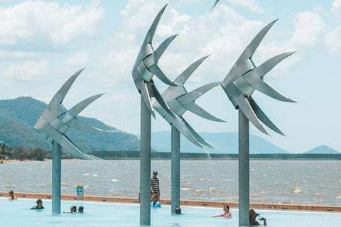 Cairns Airport Private Chater Transfer - Surfers Gold Coast 4