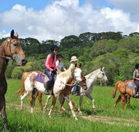Horse Riding with Petting Zoo Visit in Cairns - Surfers Gold Coast