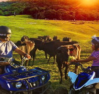 ATV Ride with Petting Zoo Experience in Kuranda from Cairns - Surfers Gold Coast