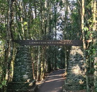 O'Reilly's and Binna Burra Full-Day Tour - Lamington National Park - Surfers Gold Coast