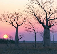 8-Day Outback Experience from Queensland - Surfers Gold Coast
