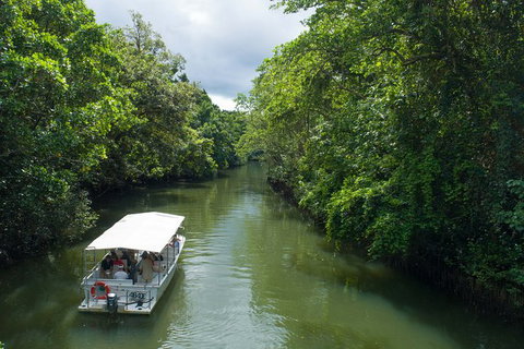 World Heritage Highlights: Reef/Daintree/Cape Tribulation - Surfers Gold Coast 1