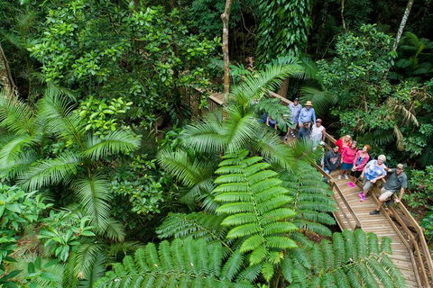 World Heritage Highlights: Reef/Daintree/Cape Tribulation - Surfers Gold Coast 3