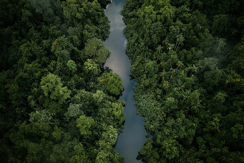 World Heritage Highlights: Reef/Daintree/Cape Tribulation - Surfers Gold Coast 10