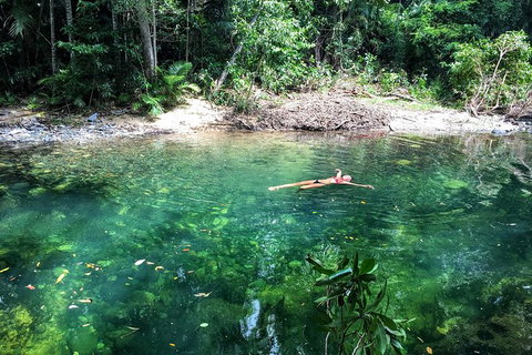 World Heritage Highlights: Reef/Daintree/Cape Tribulation - Surfers Gold Coast 4